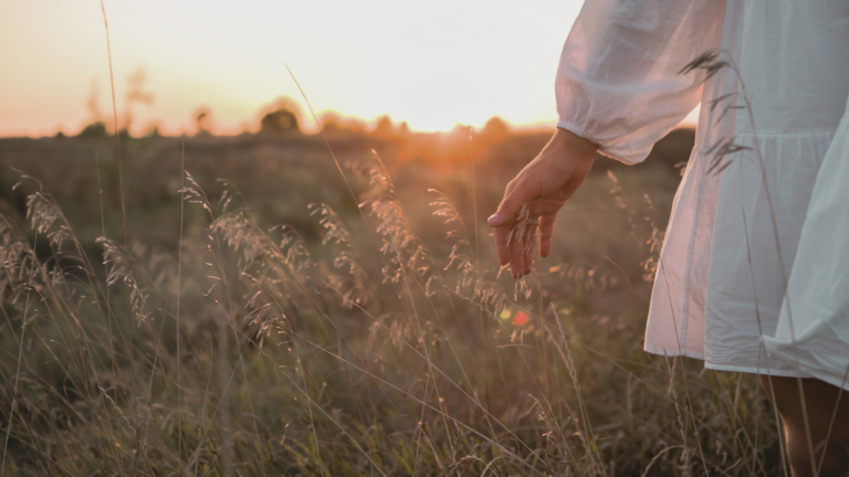 Dein Zyklus. Dein Kompass – NFP